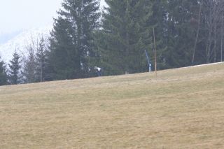 2011_originalderby_028