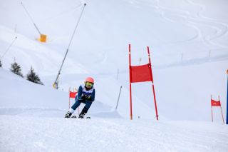 2019_OD49