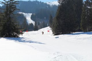 derby-2022-familienderby-050